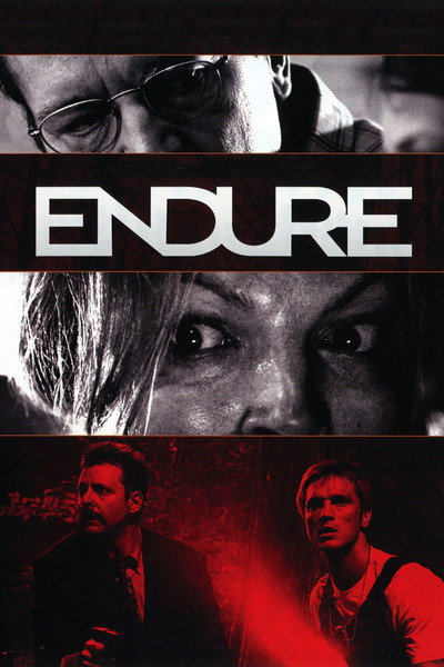 Póster de Endure