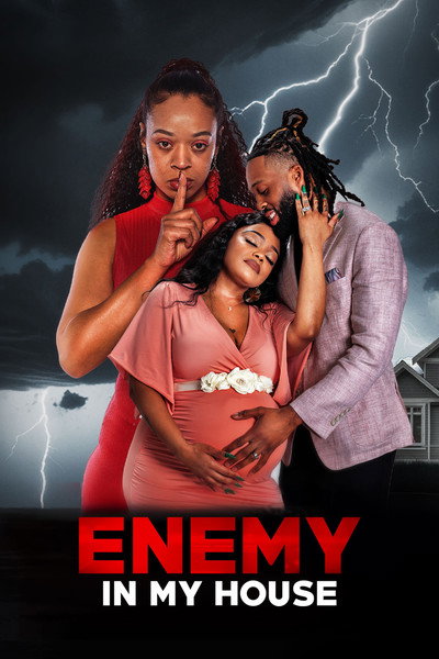 Póster de Enemy in My House