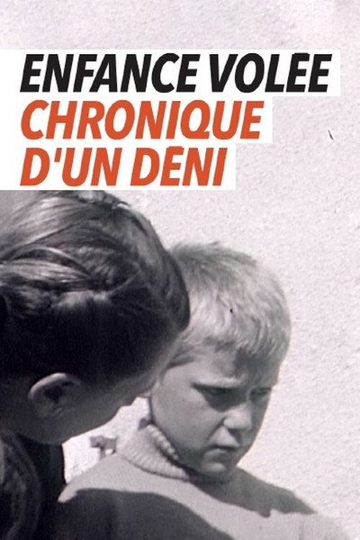 Póster de Enfance volée, chronique d'un déni