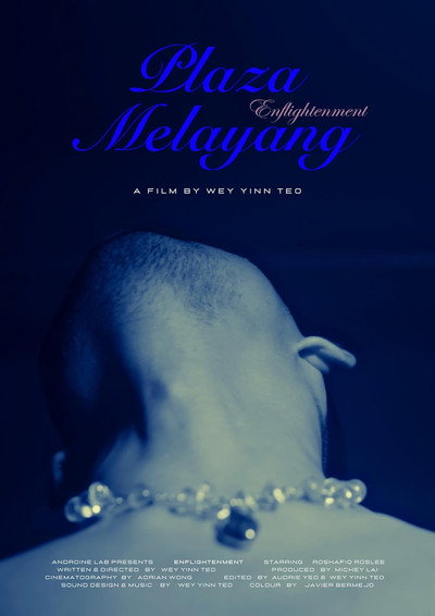 Póster de Enflightenment (Plaza Melayang)