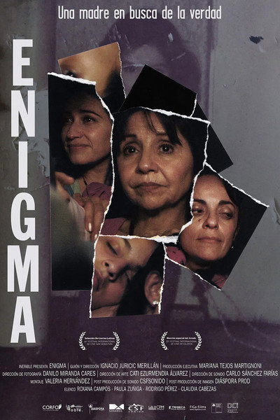 Póster de Enigma