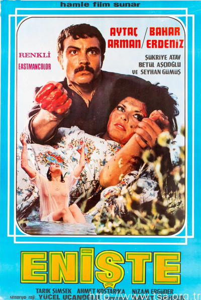 Póster de Eniste