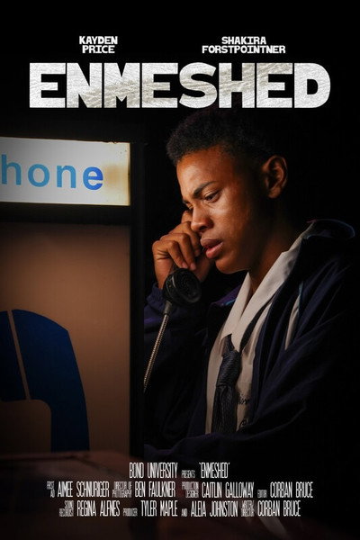 Póster de Enmeshed