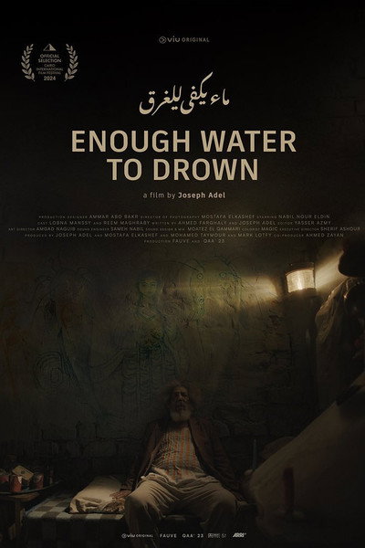 Póster de Enough Water to Drown