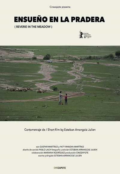 Póster de Ensueño en la Pradera