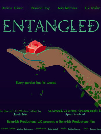 Póster de Entangled