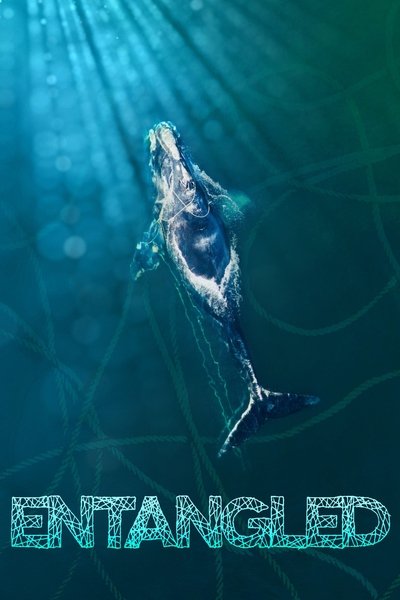 Póster de Entangled: The Race to Save Right Whales from Extinction