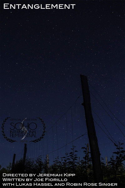 Póster de Entanglement