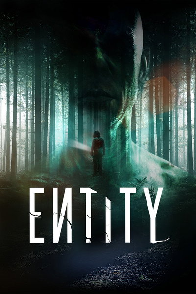 Póster de Entity