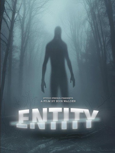 Póster de Entity