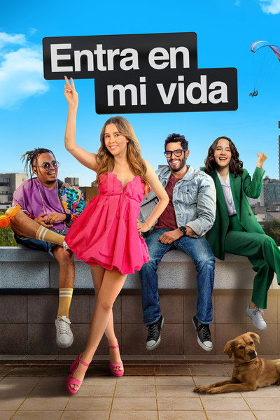 Póster de Entra en mi Vida