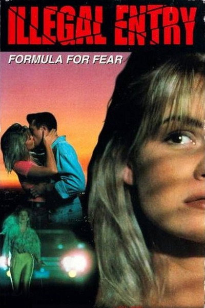 Póster de Entrada ilegal: Fórmula del miedo