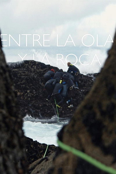 Póster de Entre a onda e a rocha