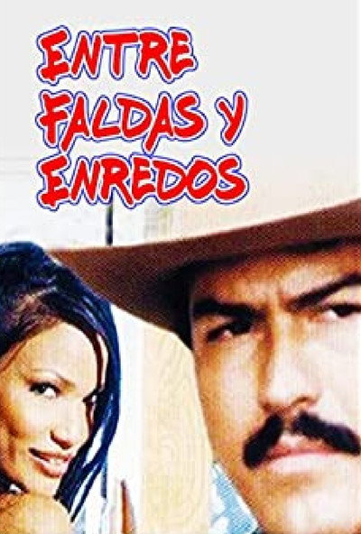 Póster de Entre faldas y enredos