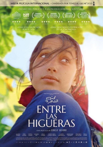 Póster de Entre fiigueres