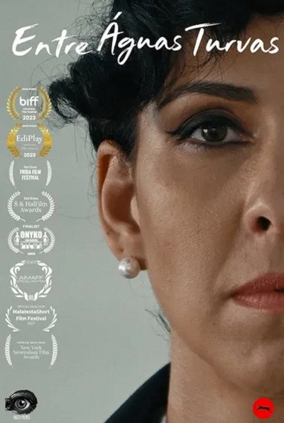 Póster de Entre Águas Turvas