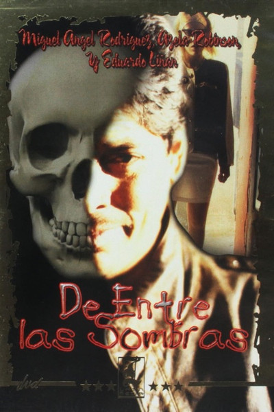 Póster de Entre las sombras