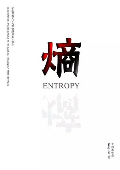 Póster de Entropy