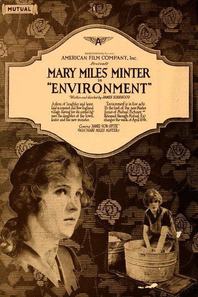 Póster de Environment