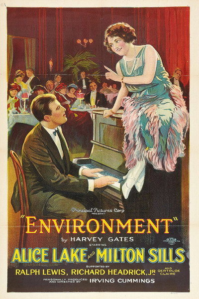 Póster de Environment