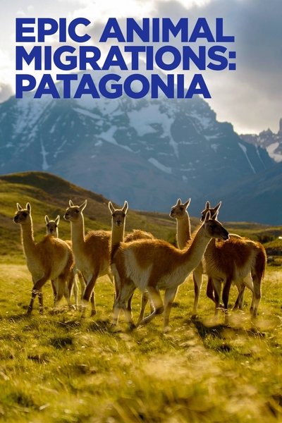 Póster de Epic Animal Migrations: Patagonia
