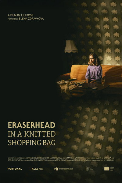 Póster de Eraserhead in a Knitted Shopping Bag