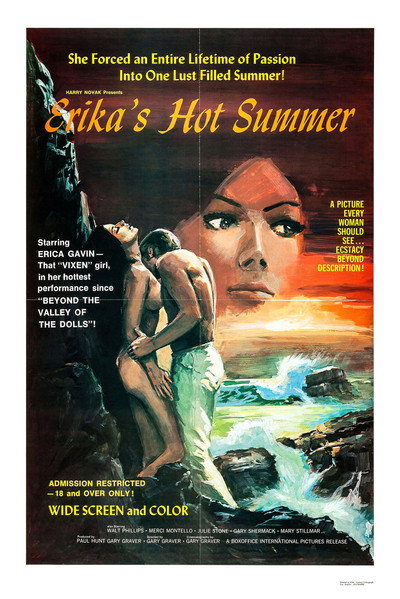 Póster de Erika's Hot Summer