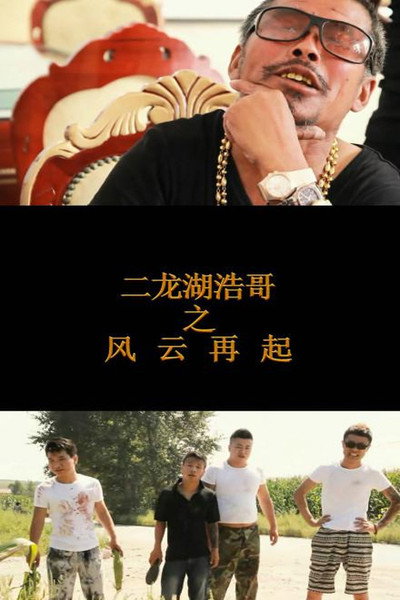 Póster de Erlonghu Haoge zhi Fengyun zaiqi