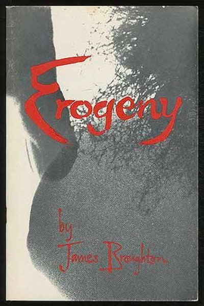 Póster de Erogeny