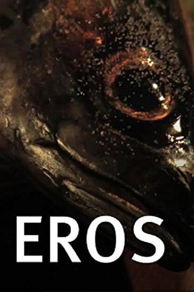 Póster de Eros