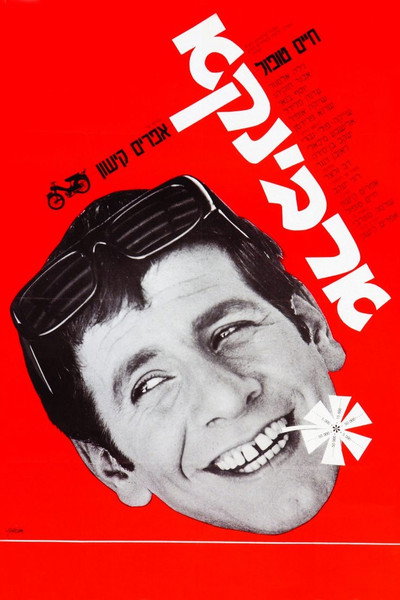 Póster de Ervinka