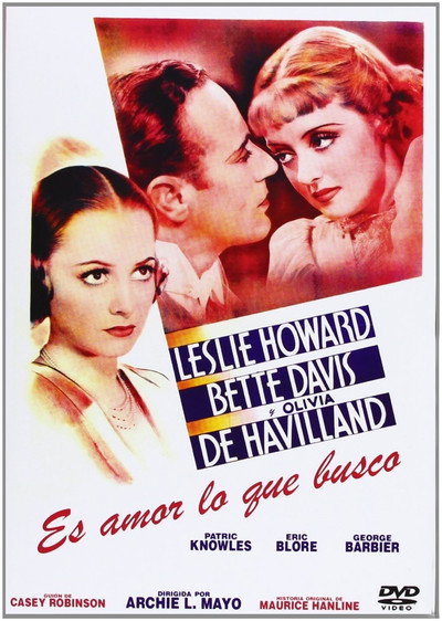Póster de Es amor lo que busco
