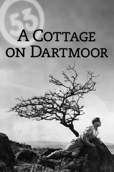 Póster de Escape from Dartmoor