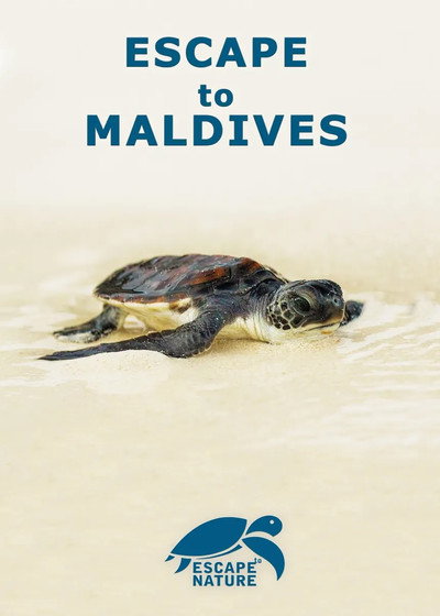 Póster de Escape to Maldives