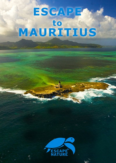 Póster de Escape to Mauritius
