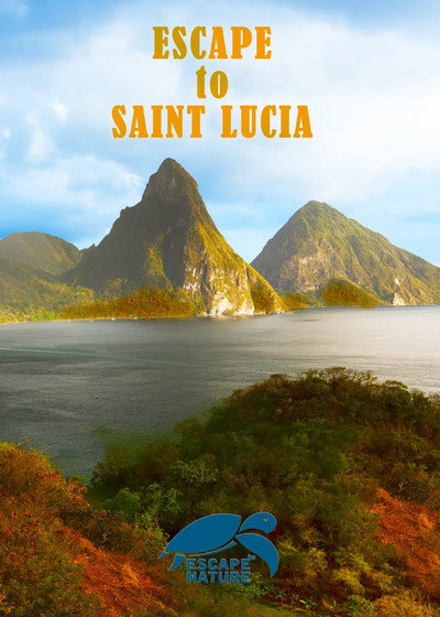 Póster de Escape to Saint Lucia
