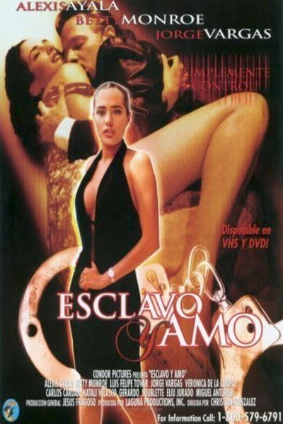Póster de Esclavo y amo