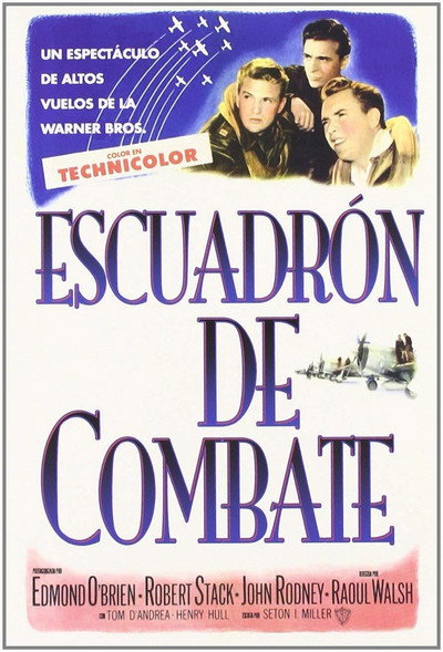 Póster de Escuadrón de combate