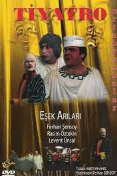 Póster de Esek Arilari