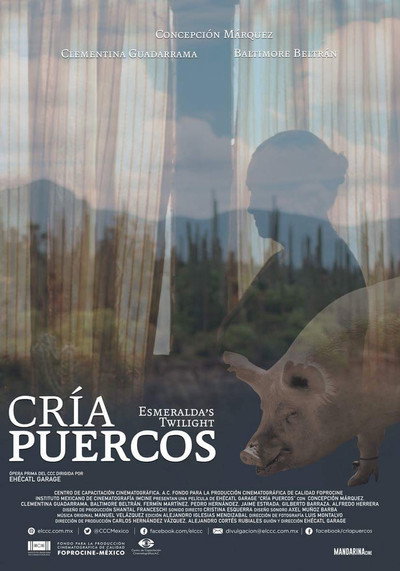 Póster de Esmeralda's Twilight