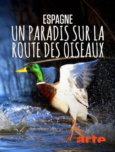Póster de Espagne: un paradis sur la route des oiseaux