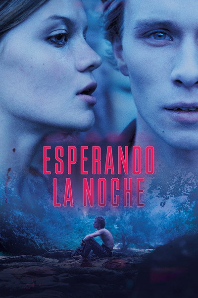 Póster de Esperando la noche