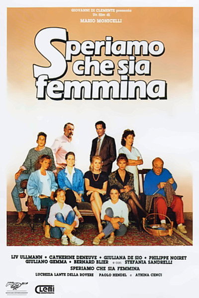 Póster de Esperemos que sea mujer