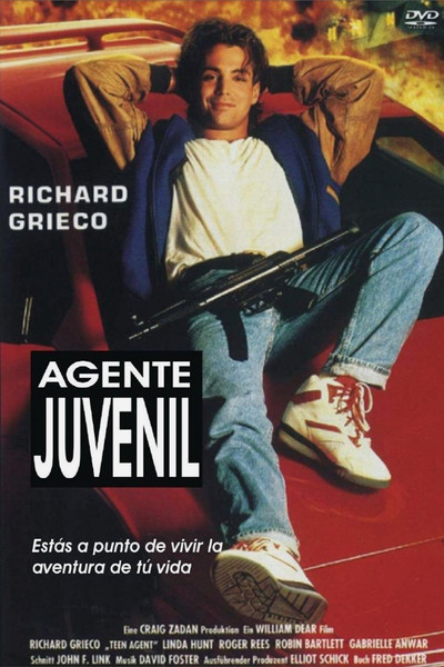 Póster de Espía por error