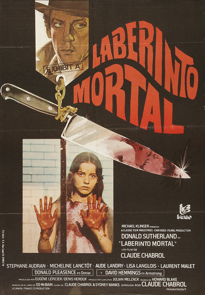 Póster de Esposa desaparecida