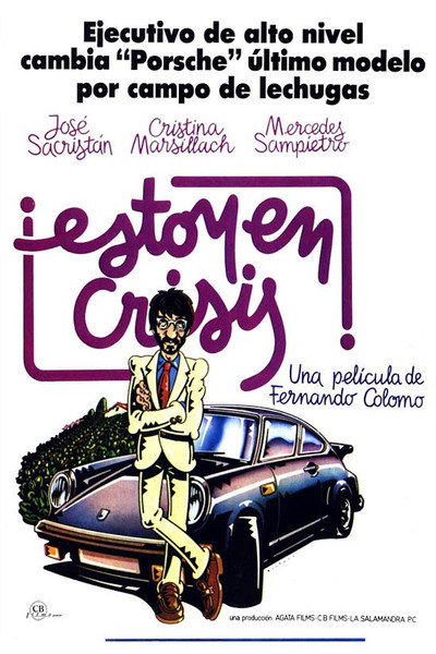 Póster de Estoy en crisis