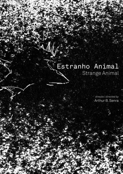 Póster de Estranho Animal