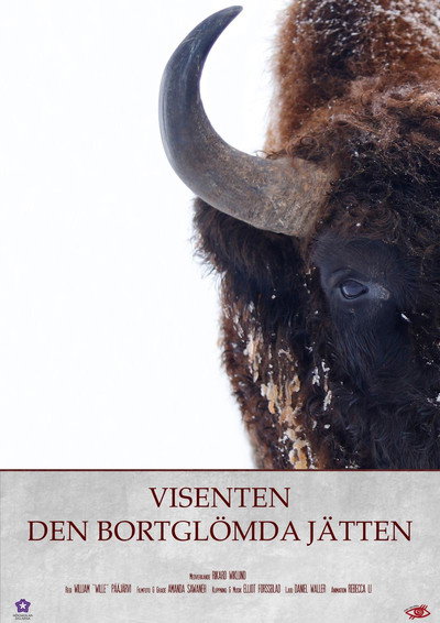 Póster de Europe's Forgotten Giants