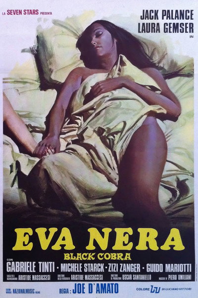 Póster de Eva negra