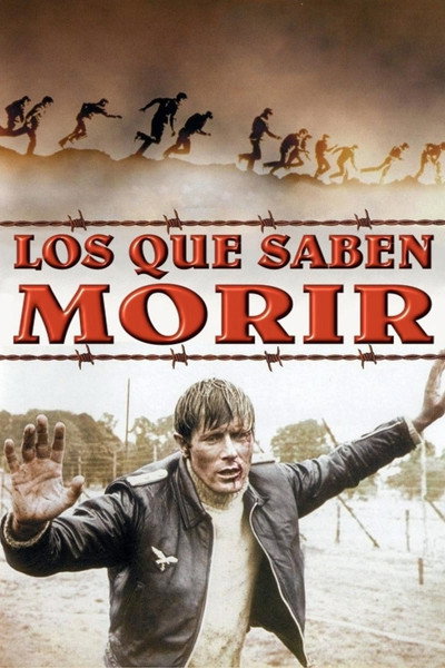 Póster de Evasió a McKenzie